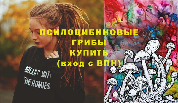 амфетамин Богородск